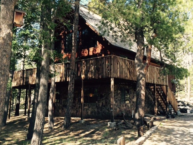 Spacious, Comfy Family Ski Home