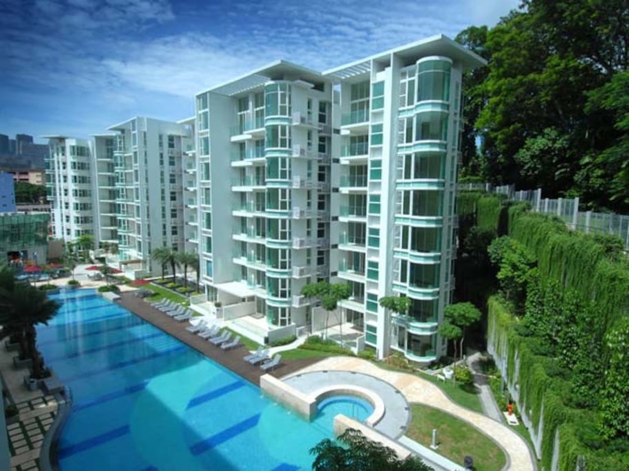 The Condo