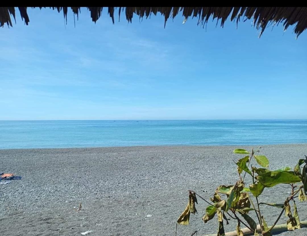 A serene beach scene is visible, showcasing a calm blue ocean meeting a clear sky. Smooth pebbles form the beach area, while a thatched roof partially frames the view and green foliage adds a touch of nature to the foreground.