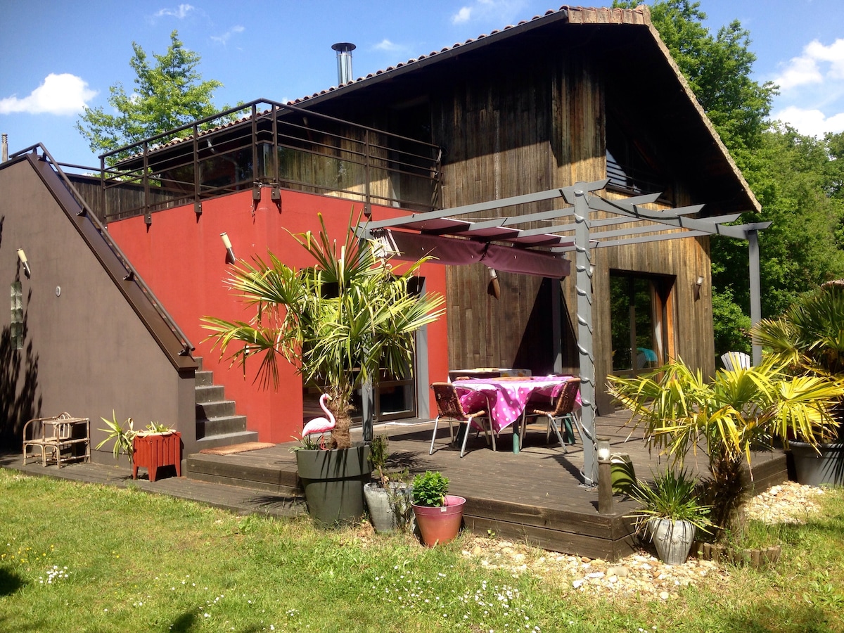 The exterior of the house features wooden siding and a bold red wall. A spacious deck, adorned with tropical plants, includes an outdoor dining area under a shaded pergola. Stairs lead to a roof terrace, surrounded by greenery and blue skies.