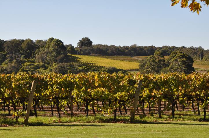 Cantley at Flutes Estate, Margaret River* gallery image 5