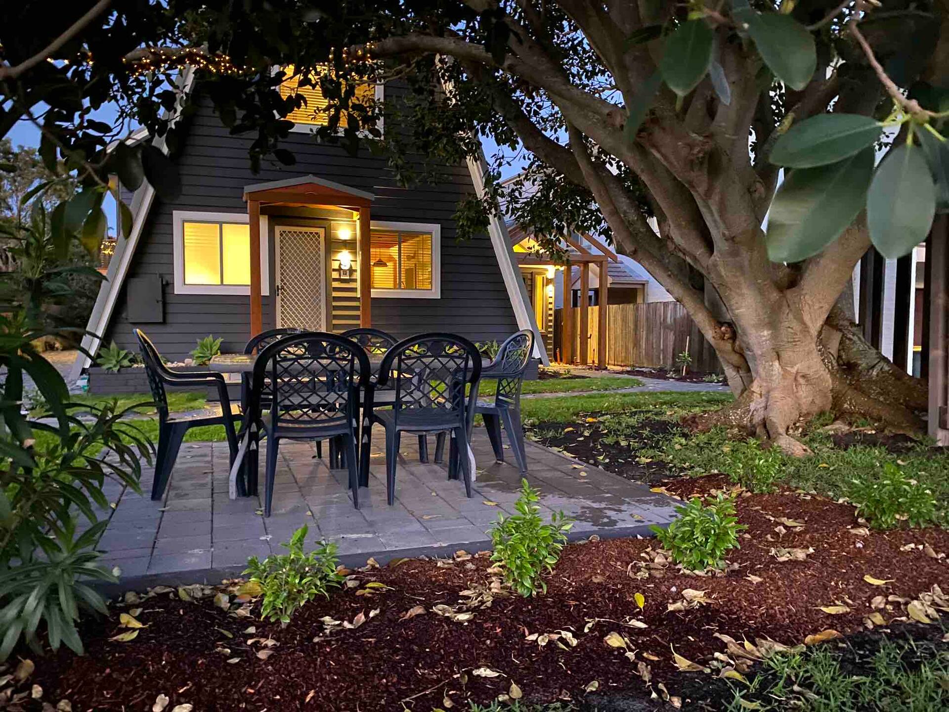 Figtree at Fingal Bay