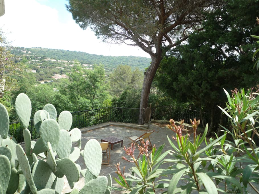 Terrasse, vue pinède