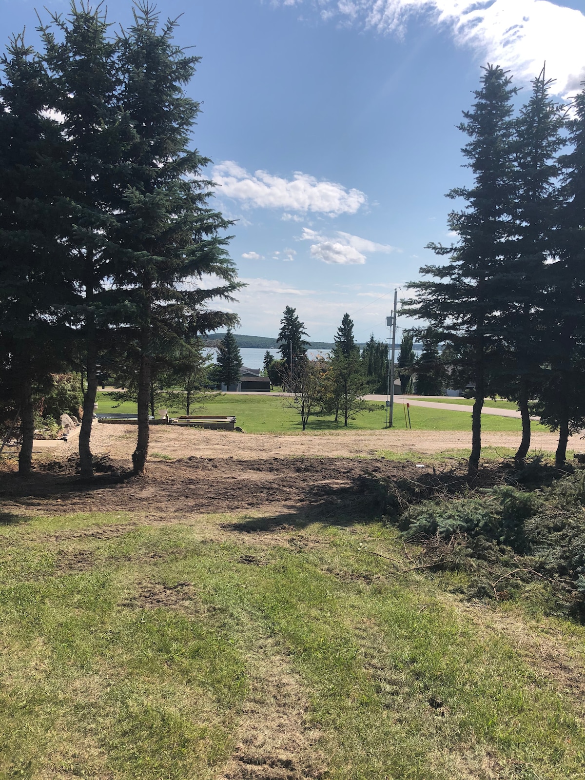 A clear view of a grassy area bordered by tall evergreen trees, leading toward a serene lake in the background. The landscape features patches of manicured grass with sunlight casting soft shadows, offering a peaceful natural setting.