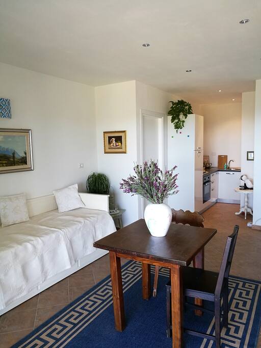 Your living room with open kitchen and a sofa bed.
