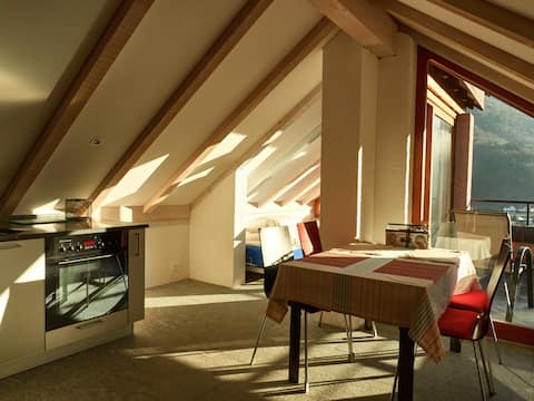 Casa pink; attic apartment with large terrace