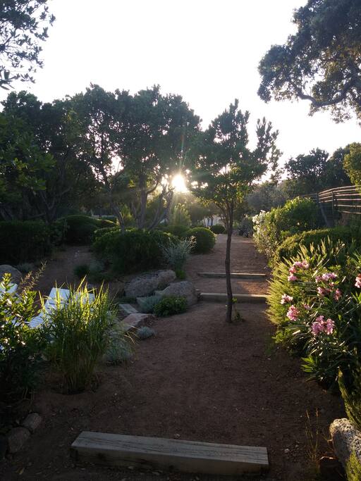 Le jardin