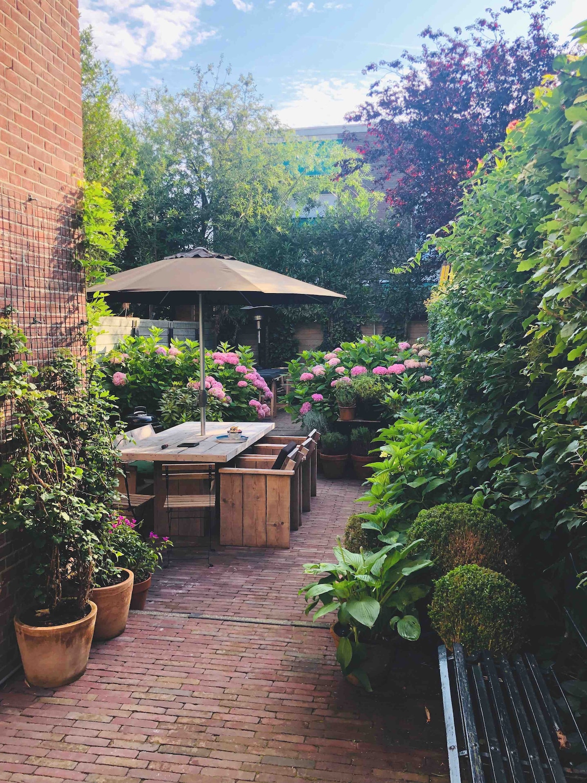 A lush garden path is surrounded by vibrant greenery and blooming hydrangeas. A wooden dining table with chairs is positioned under a large umbrella, inviting relaxation. Potted plants add depth, while the sunlight filters gently through the trees, creating a serene outdoor setting.