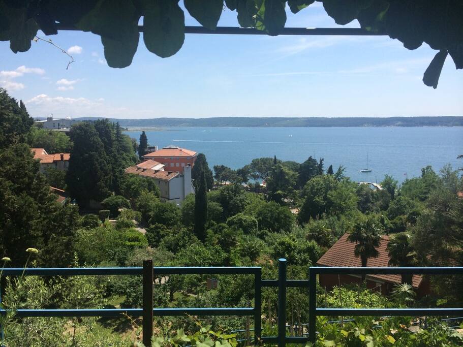 Ocean view