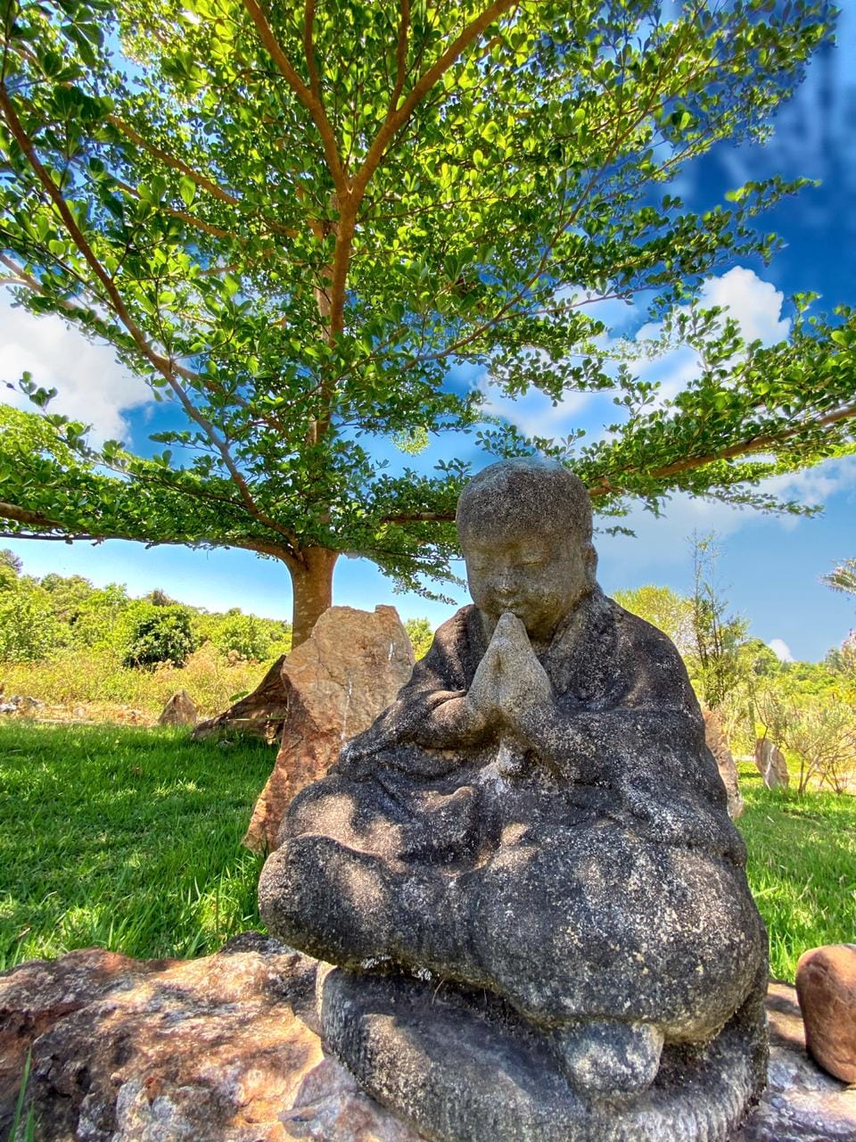 A tranquil stone statue of a meditating figure sits amidst lush greenery. A large tree provides shade overhead, enhancing the serene outdoor setting. Natural rocks and grass surround the statue, contributing to the peaceful atmosphere of the space.