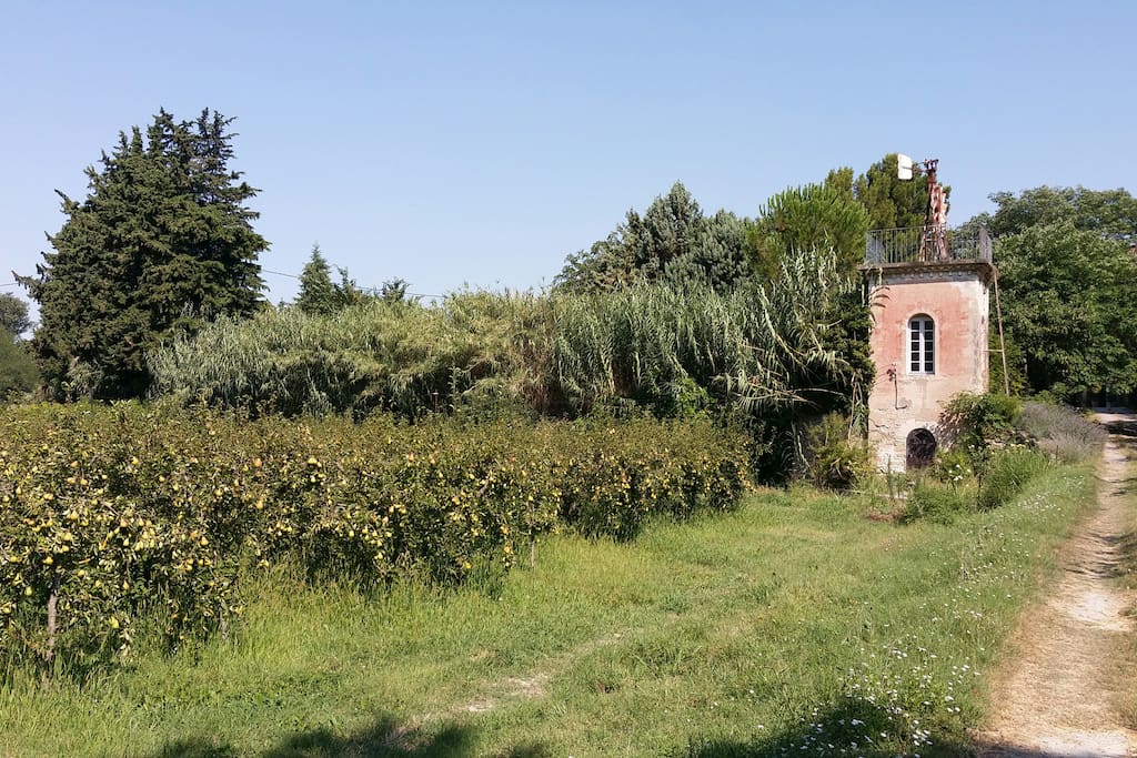 Verger et chemin, tous le domaine est accessible aux voyageurs.
