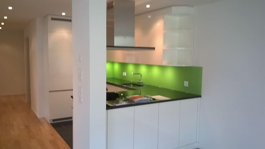Airbnb Goldau Vacation Rentals Places To Stay