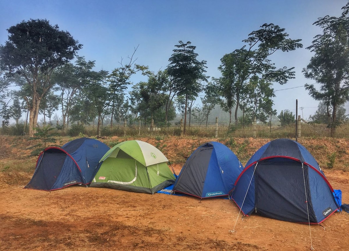 אפשר לבחור להקים מחנה או לשהות במכלים שלנו