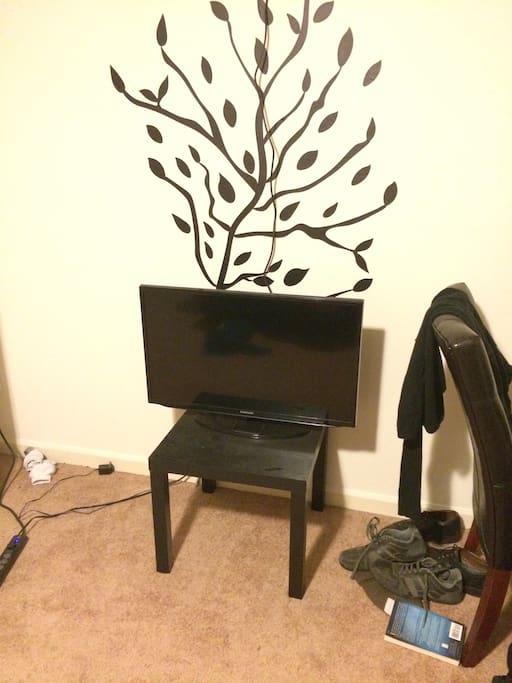 Smart TV, feel free to use my Netflix.