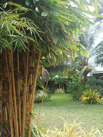 LightHaus AC Double Room in a Garden Resort