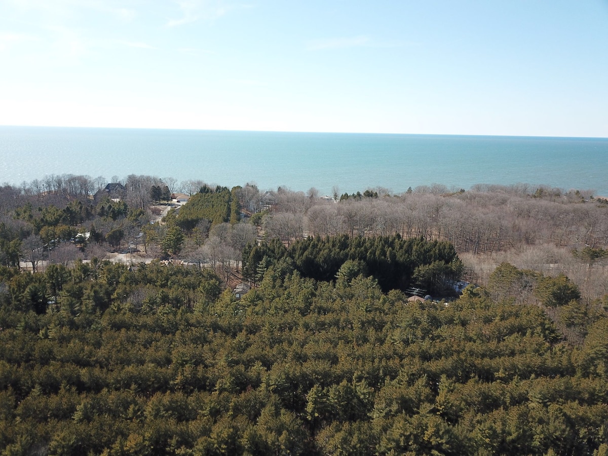 Aerial view captures the serene shoreline of Lake Michigan, showcasing a vast expanse of clear blue water meeting a wooded area. Dense greenery is visible in the foreground, leading toward the horizon where trees and the lake blend seamlessly under a clear blue sky.