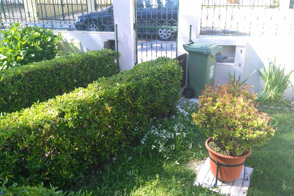 Front garden