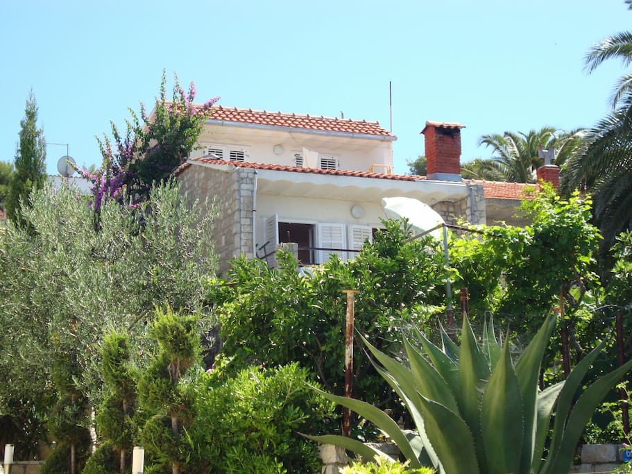 house