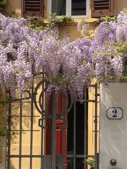 Entrance