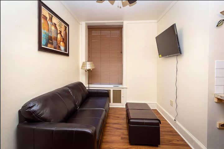 Bonus studio soba s kožnim kaučem za spavanje veličine Queen s udobnim madracem od memorijske pjene