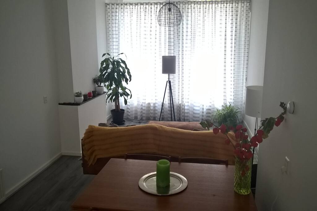Spacious living room and dining area.