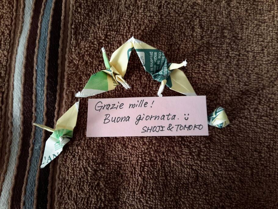 I miei ospiti giapponesi