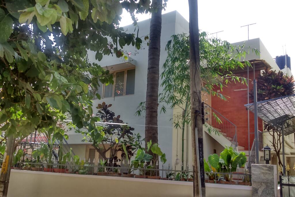 House - Frontal View 2