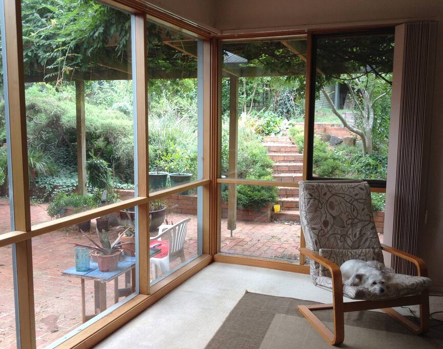 looking through to the back yard