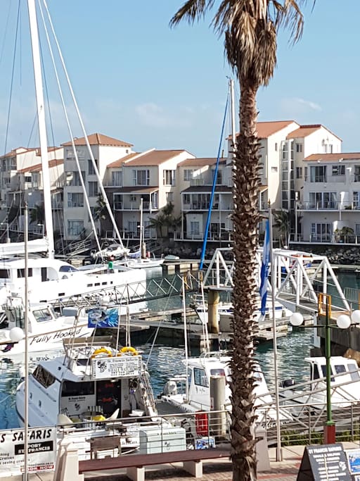 Port view from you balconyPlease
#portstfrancisluxurystudio with any St. Francis bay and surrounding area