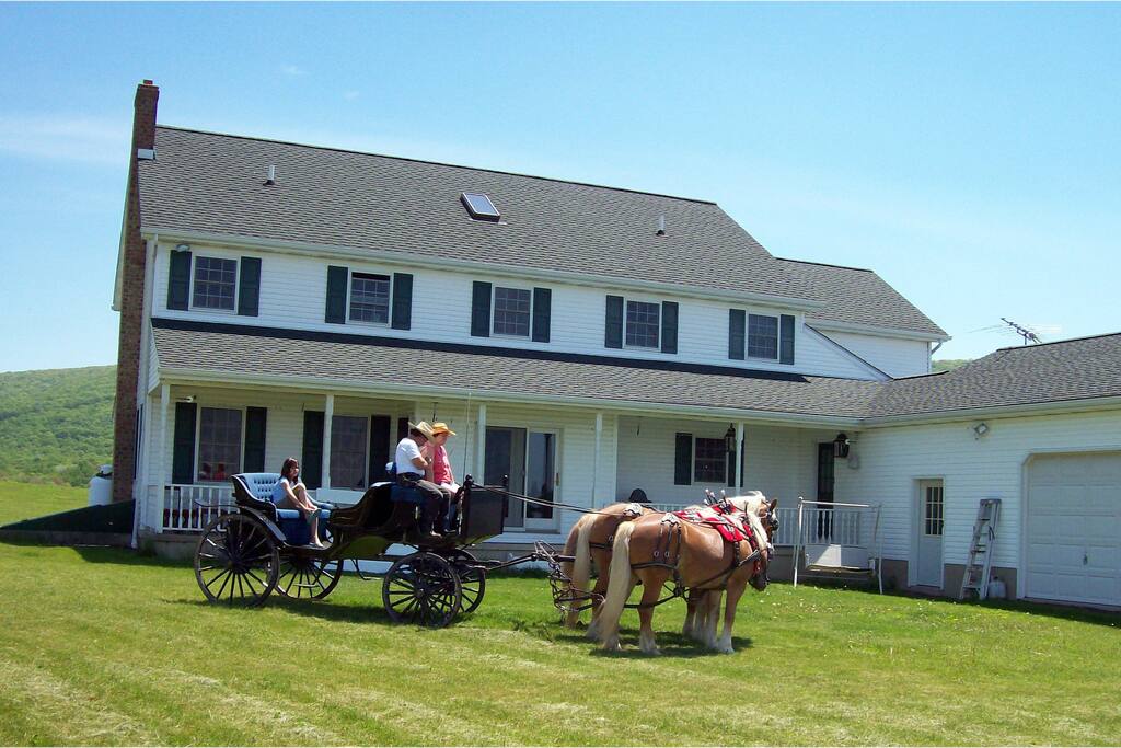 Back of House