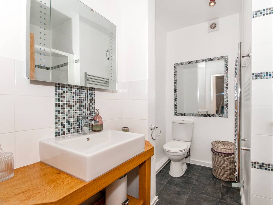 Shower Room with large walkin shower on the right