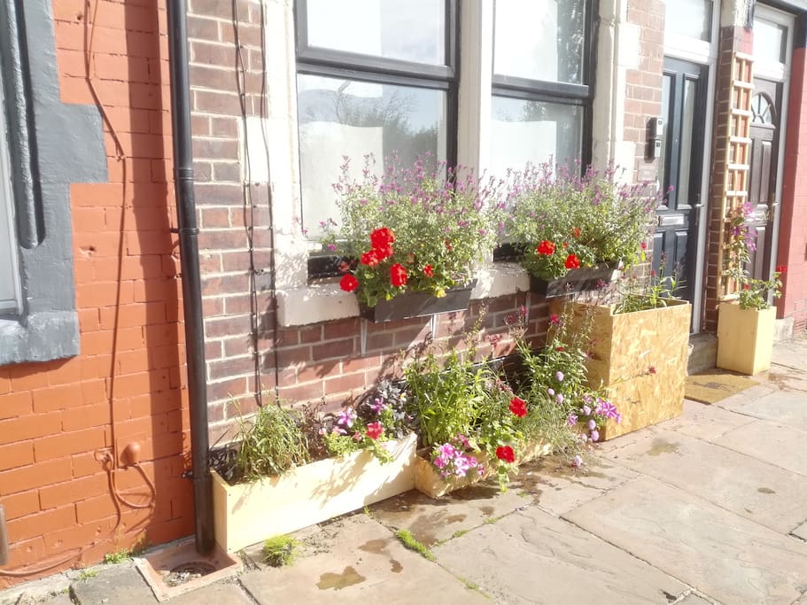 Maintained Window Boxes