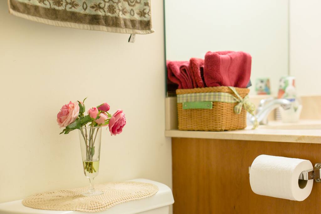 Private bathroom, first aid kit, hair dryer, and iron.