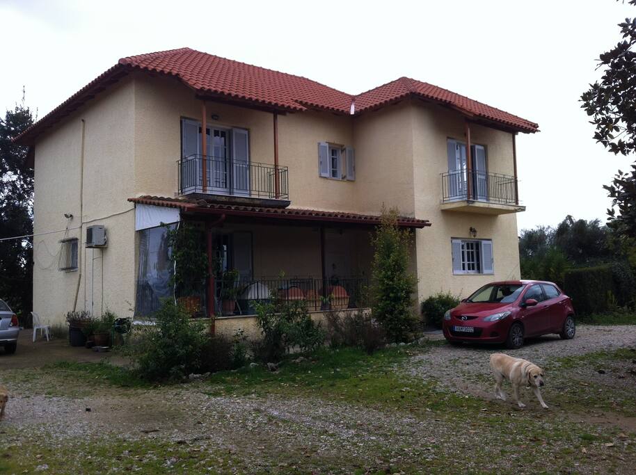 The House, Lily who sadly is no longer with us and our unkept driveway(oups!)