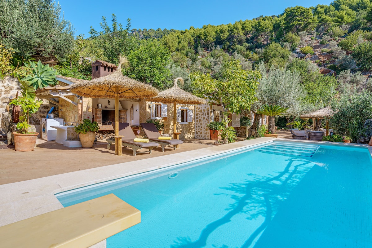 A serene outdoor area is presented, featuring a clear blue pool surrounded by sun loungers beneath thatched umbrellas. Lush greenery frames the space, with well-maintained plants and trees enhancing the natural feel. A barbecue area is also visible, contributing to a relaxing atmosphere.