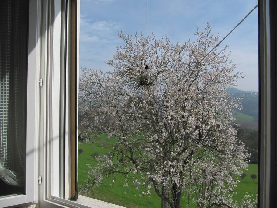 3. finestra della camera