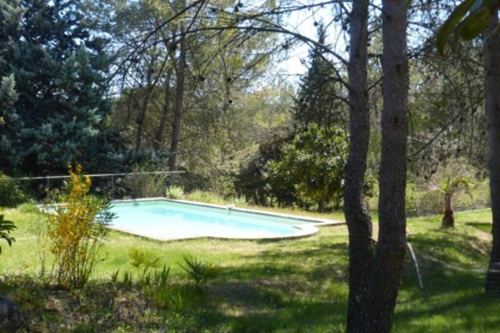 La chambre d'hôte donne accès à une piscine spacieuse dans un écrin de verdure