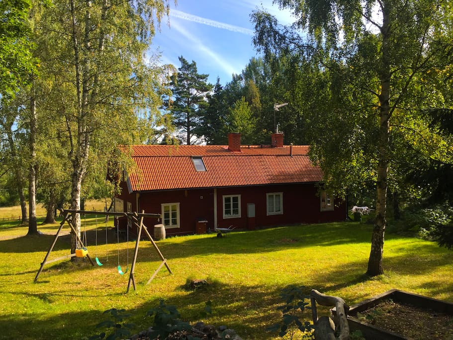 Swings at the backside of the house