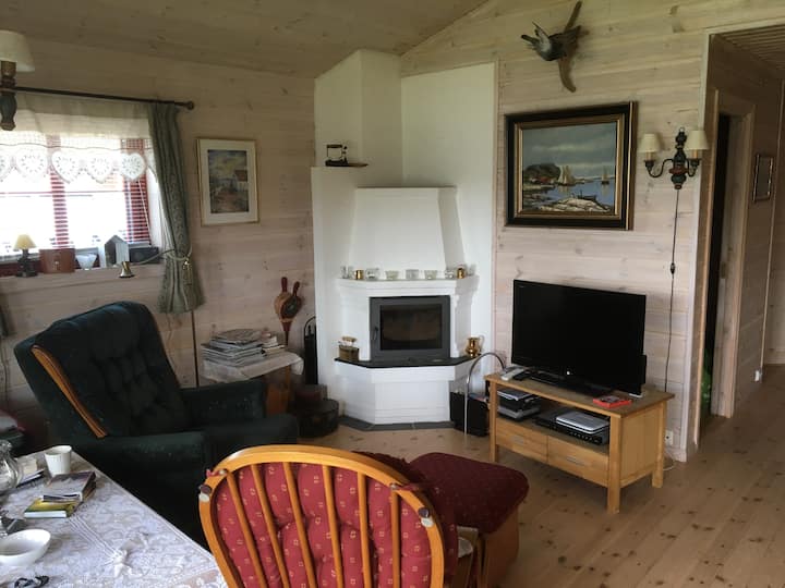 Gancho para TV/chimenea.