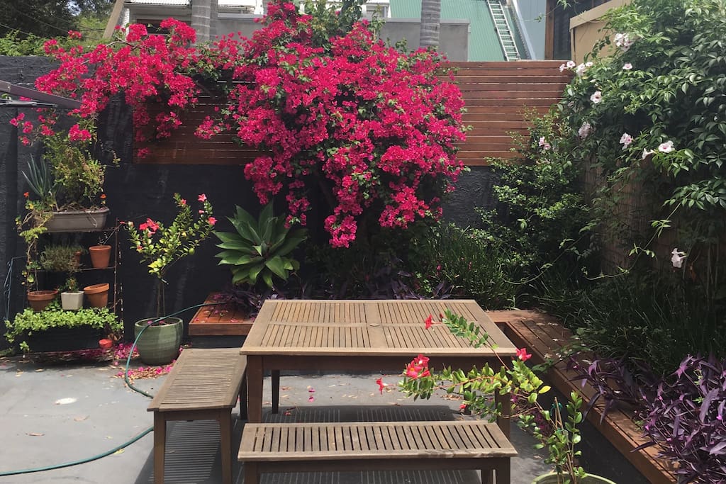 The courtyard on a cloudy day :)