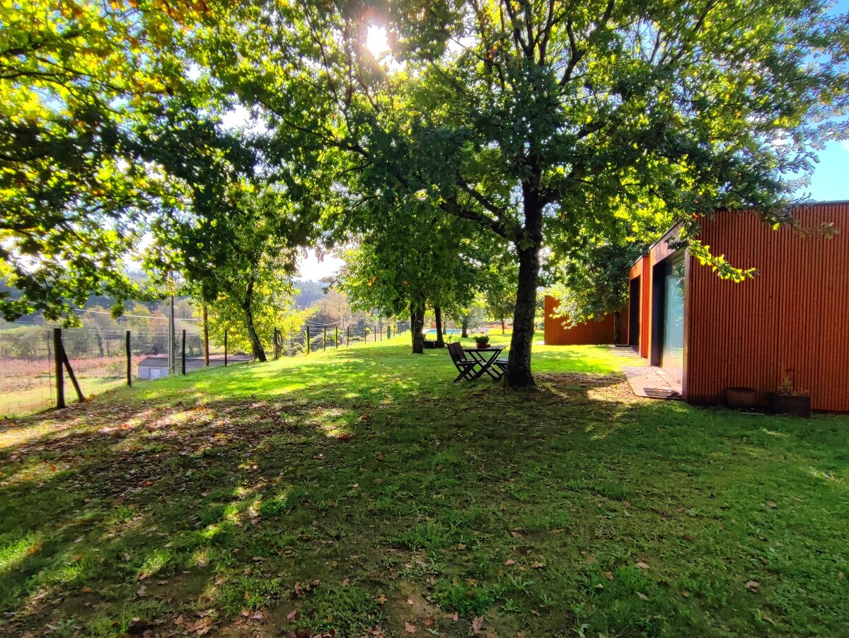 A green, grassy area is framed by tall trees, providing shade and a sense of tranquility. Two wooden chairs are positioned beneath the trees, overlooking a scenic view of the surrounding landscape. Soft sunlight filters through the leaves, creating a serene atmosphere.