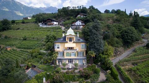 Sunny 95m2 apartment in 1907 Villa with a view