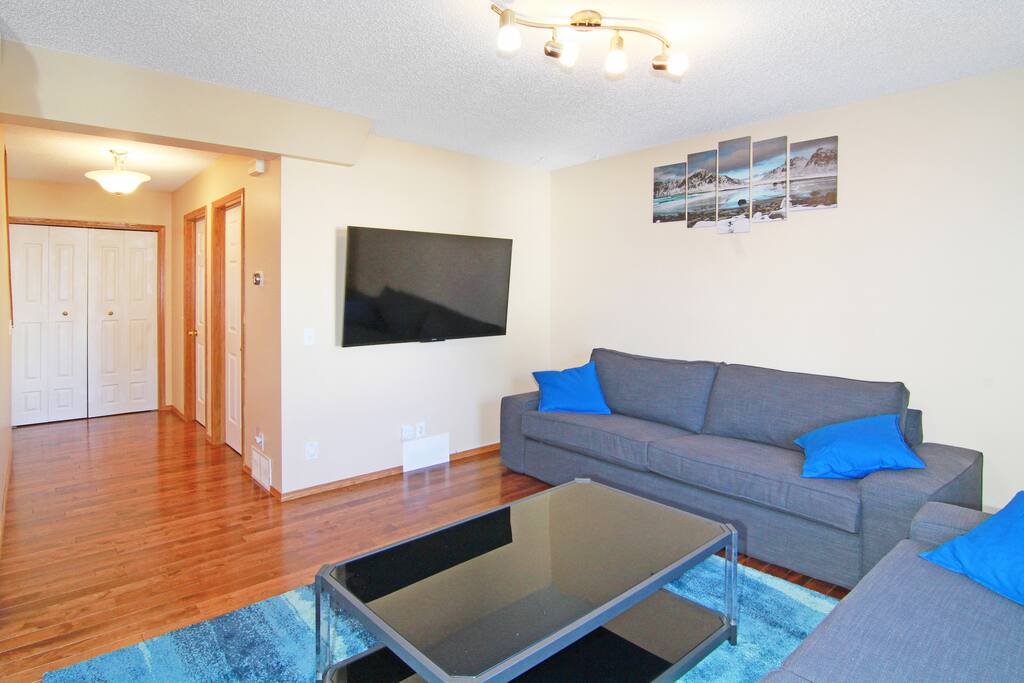 Living room with 2 sofas