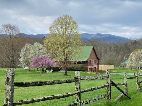 Willow Tree Retreat  Damascus, Va