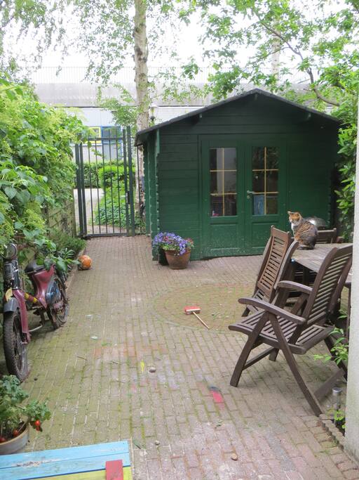 Garden with back-entrance and our cat