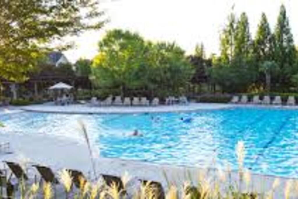 Vickery Pool