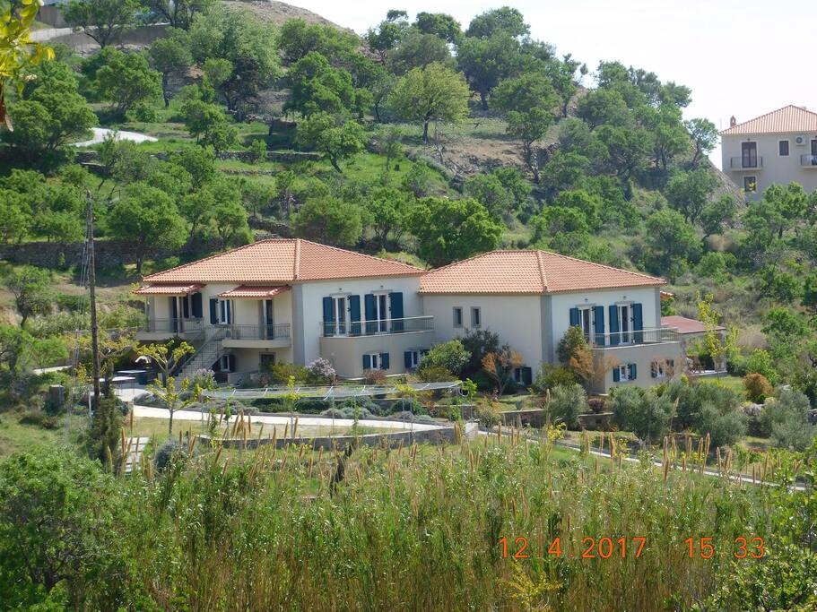 General view of the country houses