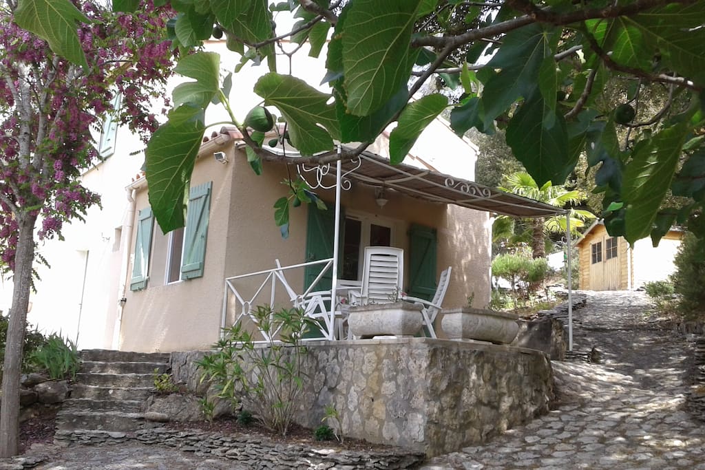 La terrasse