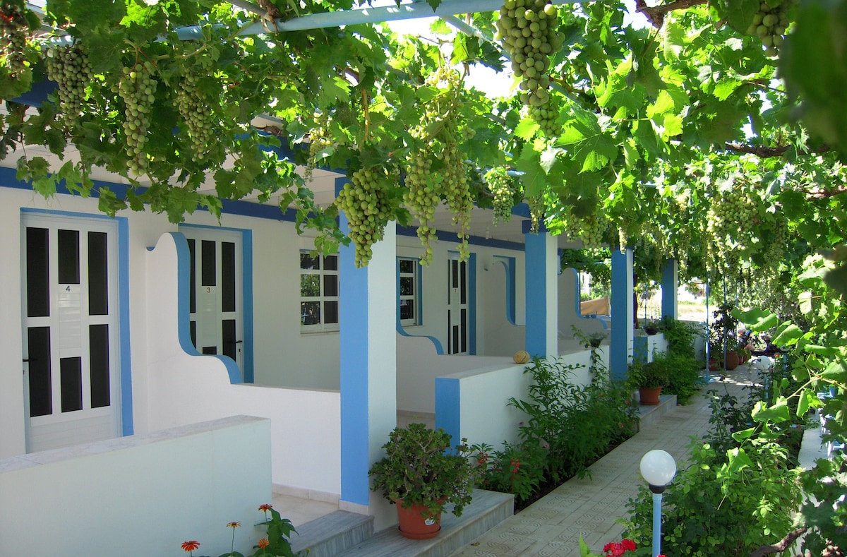 The exterior of Aegean Studios is lined with grapevines providing shade. Whitewashed walls accent the blue trim of the balconies. Potted plants and flowers are visible along the pathway, leading to the entrances of the studios.