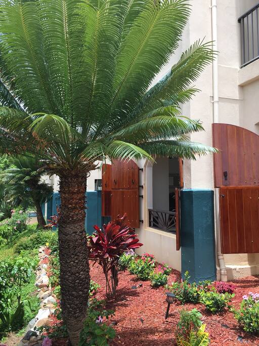 We have a wonderful restaurant/lounge on-site, by the lower pool, Slice VI, which offers appetizers, craft pizzas and sandwiches, as well as full course dinners. There is always a fresh caught seafood special!